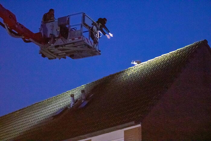 Brandweer helpt bewoner met kat van dak halen