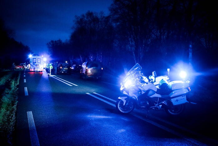 Meerdere auto's botsen op elkaar na uitwijkmanoeuvre overstekende reeën