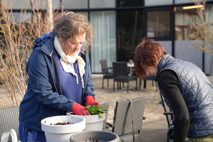 Wethouders en de burgemeester nemen deel aan NLdoet