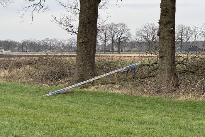 Traumateam ingezet nadat man uit boom valt