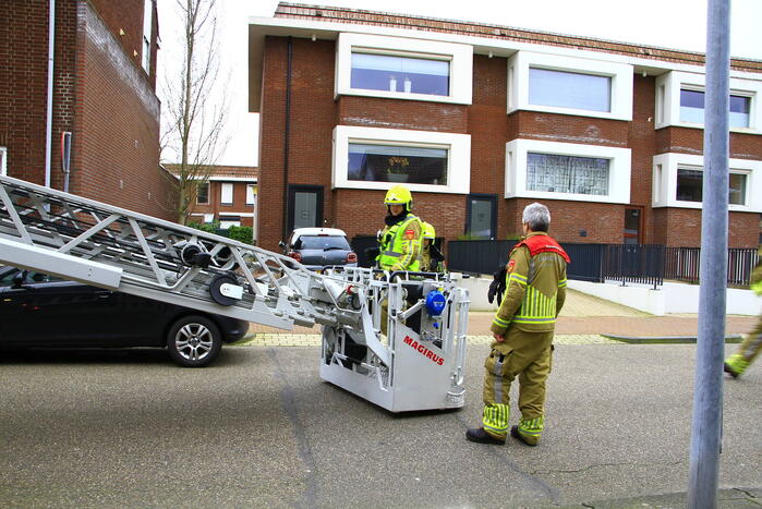 Brandweer haal kat na twee dagen van dak