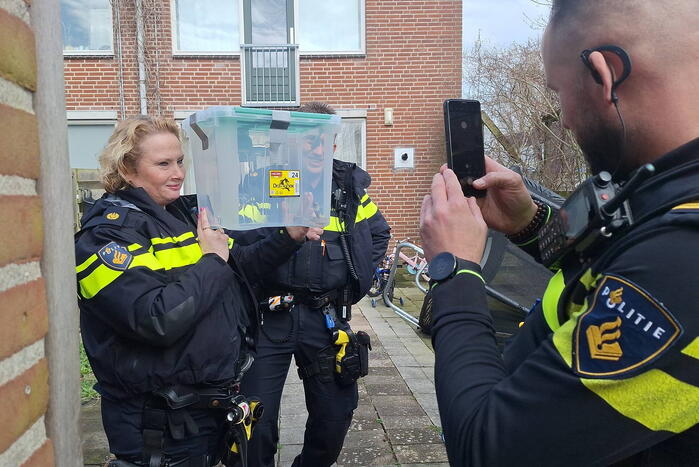 Giftige ontsnapt cobra eindelijk gevangen