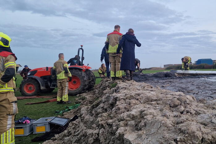 Paard muurvast in modderpoel