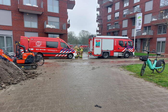 Vogel vast tussen kiepraam en balustrade