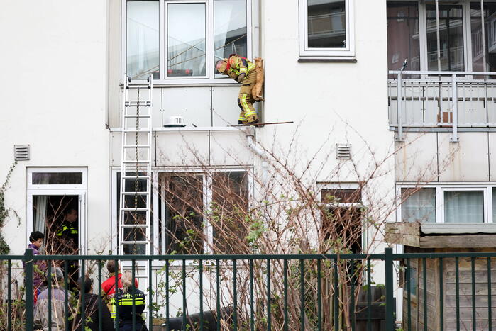Poes springt van dak tijdens reddingsactie brandweer