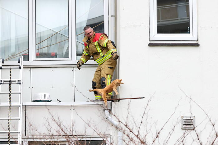 Poes springt van dak tijdens reddingsactie brandweer