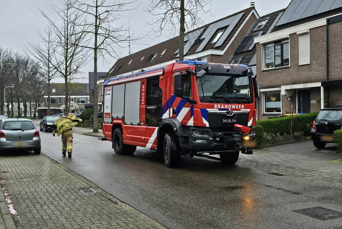 Brandweer schudt kat uit boom