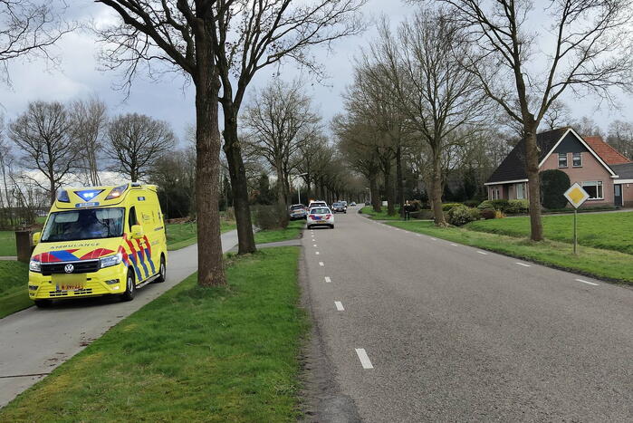 Flinke schade bij eenzijdig ongeval tegen boom