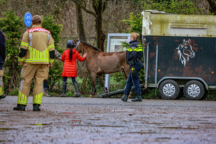 Gestresst paard wil trailer niet in