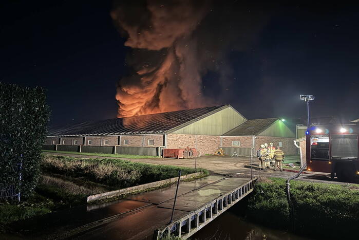 Uitslaande brand in stal, brandweer probeert dieren te redden