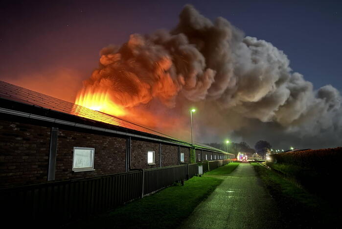 Uitslaande brand in stal, brandweer probeert dieren te redden