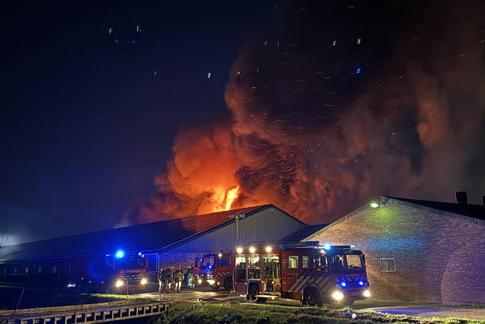 Uitslaande brand in stal, brandweer probeert dieren te redden