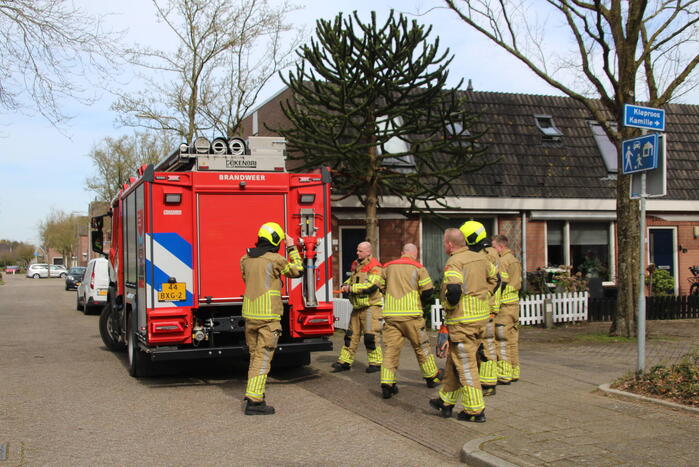 Brandweer ingezet voor vastzittende vogel