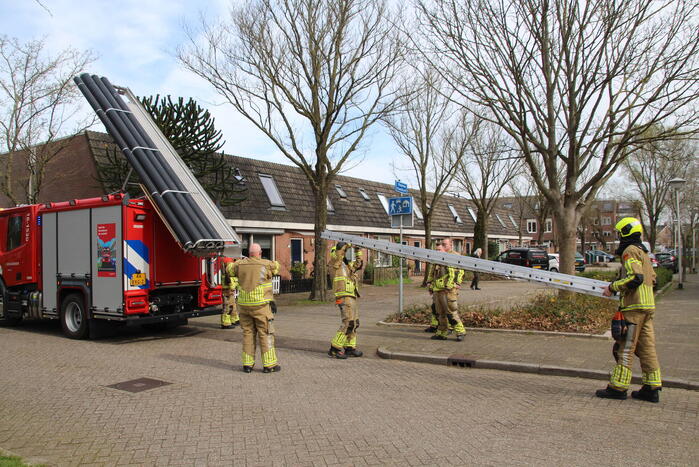 Brandweer ingezet voor vastzittende vogel