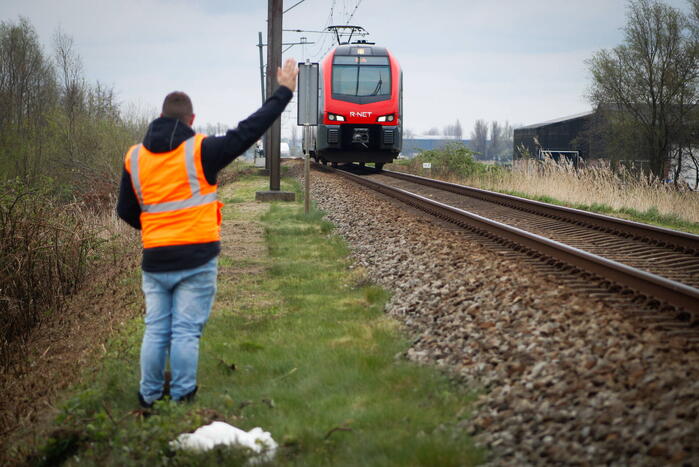 Dode zwaan zorgt voor hinder van treinverkeer