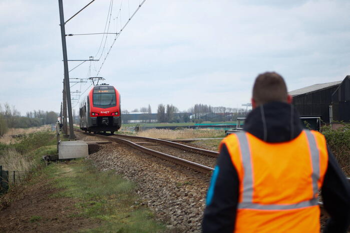 Dode zwaan zorgt voor hinder van treinverkeer