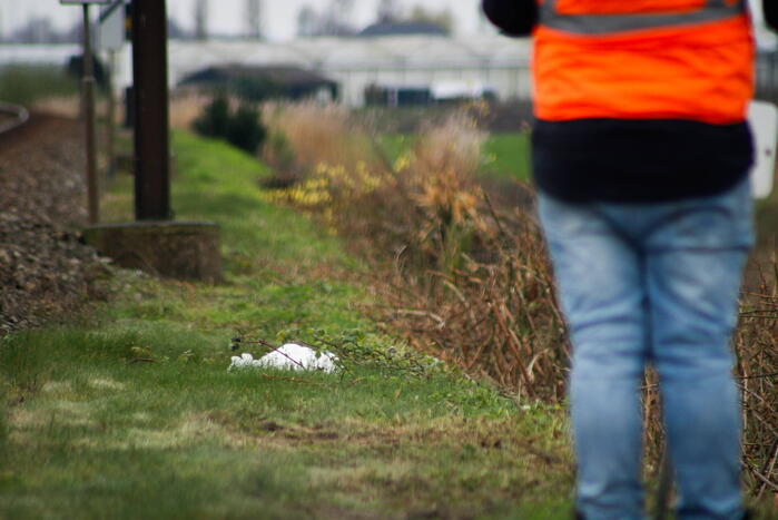 Dode zwaan zorgt voor hinder van treinverkeer