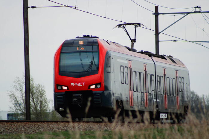 Dode zwaan zorgt voor hinder van treinverkeer