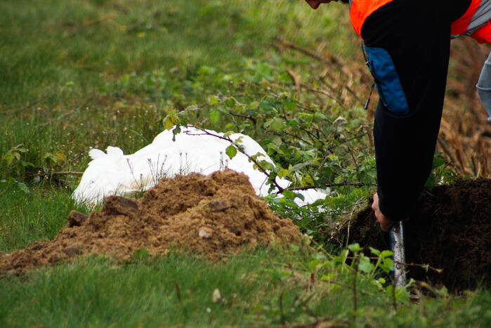 Dode zwaan zorgt voor hinder van treinverkeer