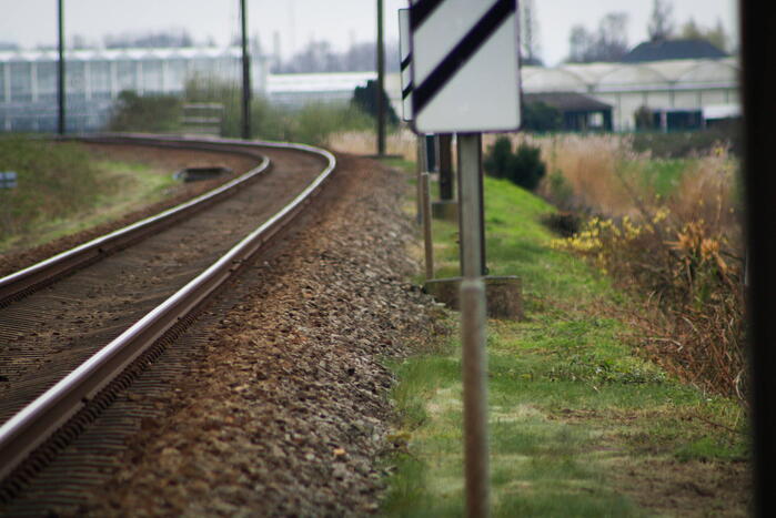 Dode zwaan zorgt voor hinder van treinverkeer