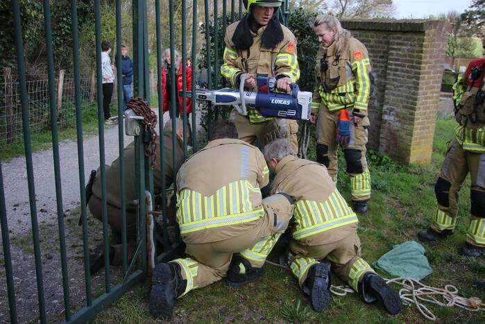 Brandweer bevrijdt vastzittend hert