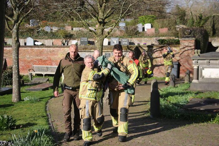 Brandweer bevrijdt vastzittend hert