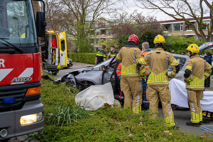 Automobilist botst tegen boom
