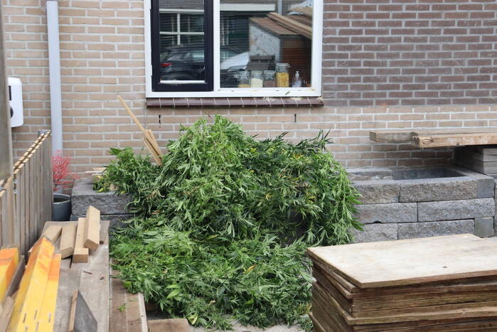 Politie ontmanteld hennepplantage