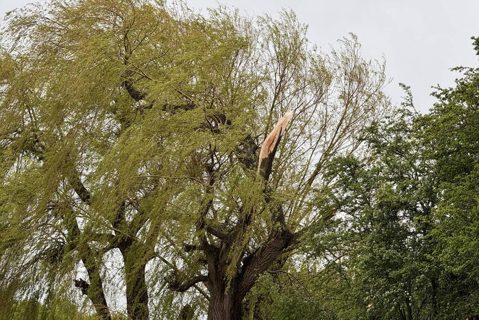 Brandweer assisteert bij stormschade aan boom