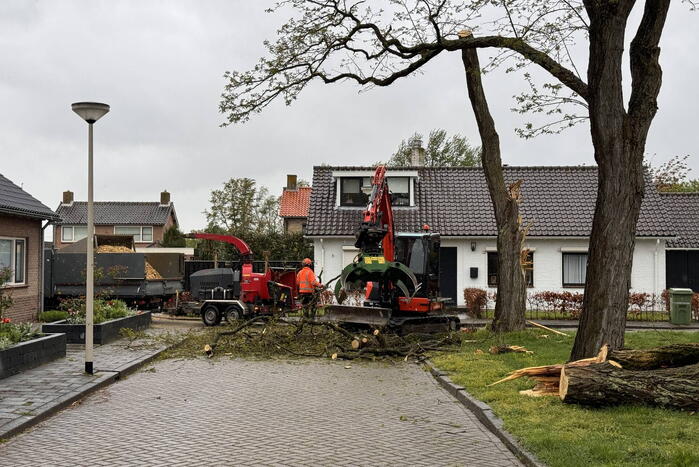 Boom breekt af na rukwinden