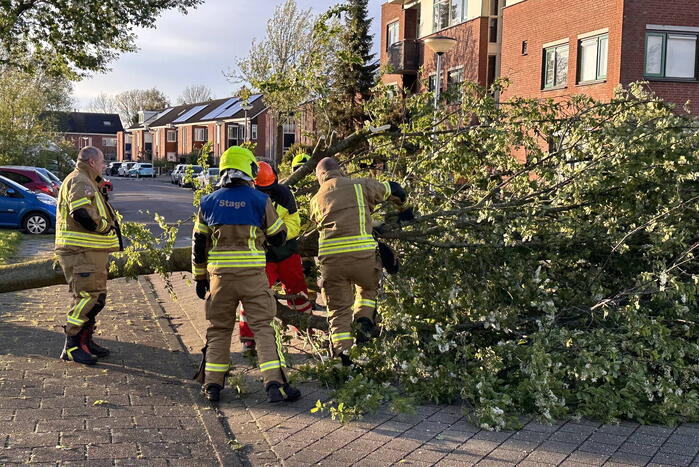 Omgewaaide boom belandt op weg