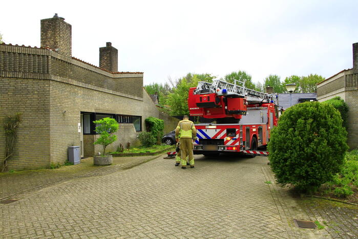 Brandweer ingezet voor dier in nood