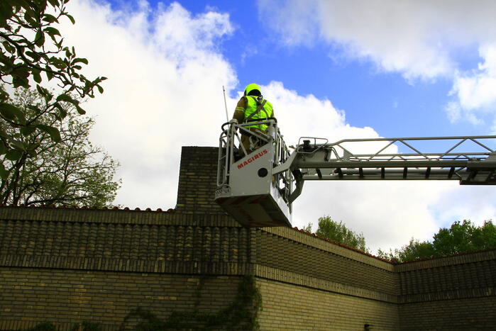 Brandweer ingezet voor dier in nood