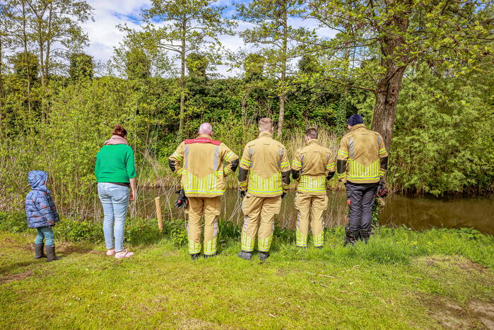 Zoekactie naar 1-jarige kater Tommy