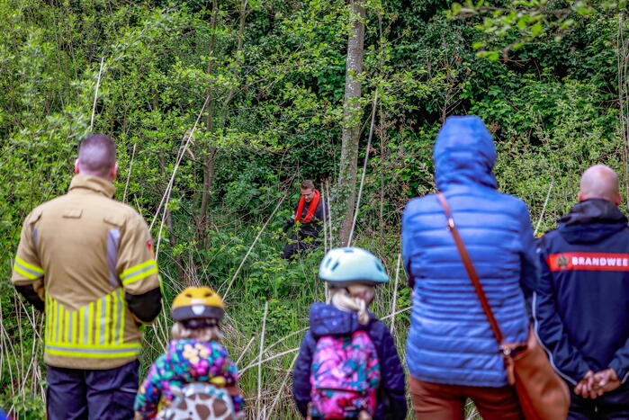 Zoekactie naar 1-jarige kater Tommy