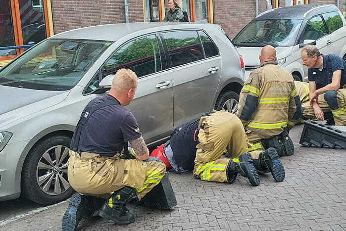 Kat Simba kiest hazenpad en belandt in water