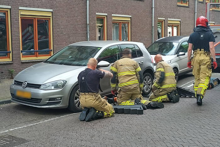 Kat Simba kiest hazenpad en belandt in water