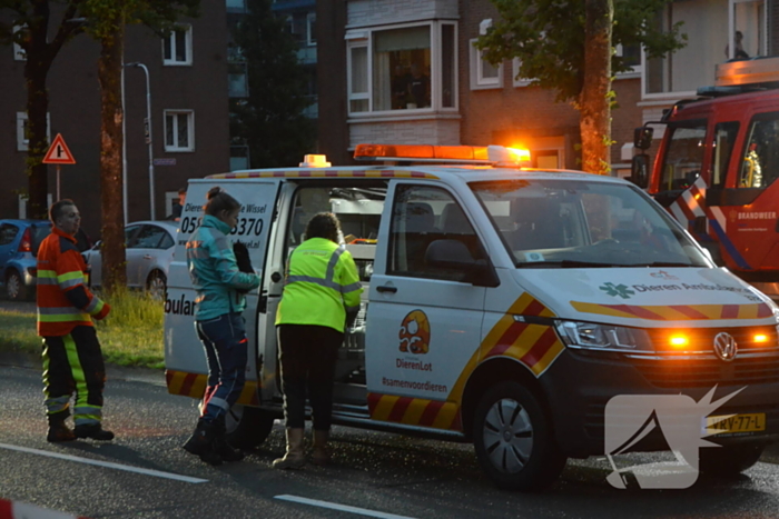 Flinke rookontwikkeling bij brand in flat