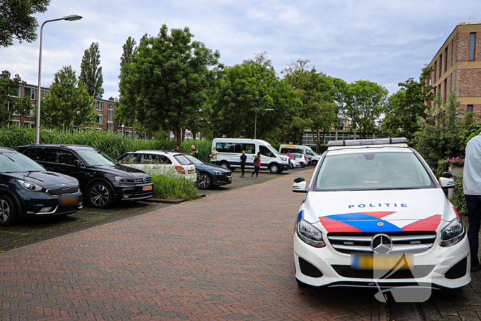 Auto eindigt in het riet