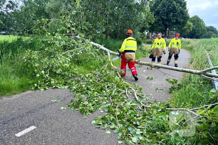 Voetganger door het oog van de naald na omvallen boom