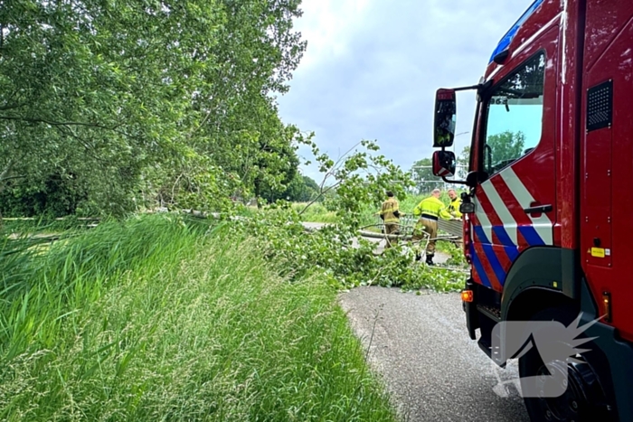 Voetganger door het oog van de naald na omvallen boom