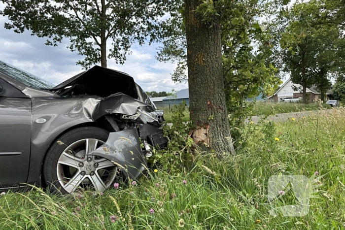 Bestuurder ramt boom en verdwijnt spoorloos