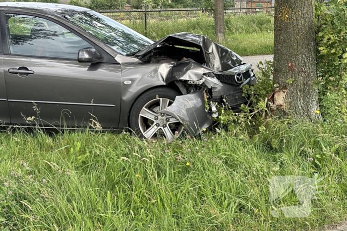 Bestuurder ramt boom en verdwijnt spoorloos