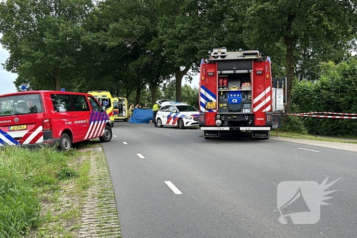 Bestuurder op slag dood na crash tegen boom
