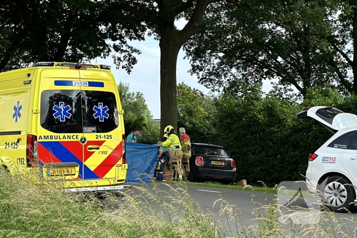 Bestuurder op slag dood na crash tegen boom
