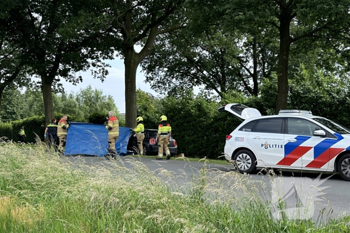 Bestuurder op slag dood na crash tegen boom