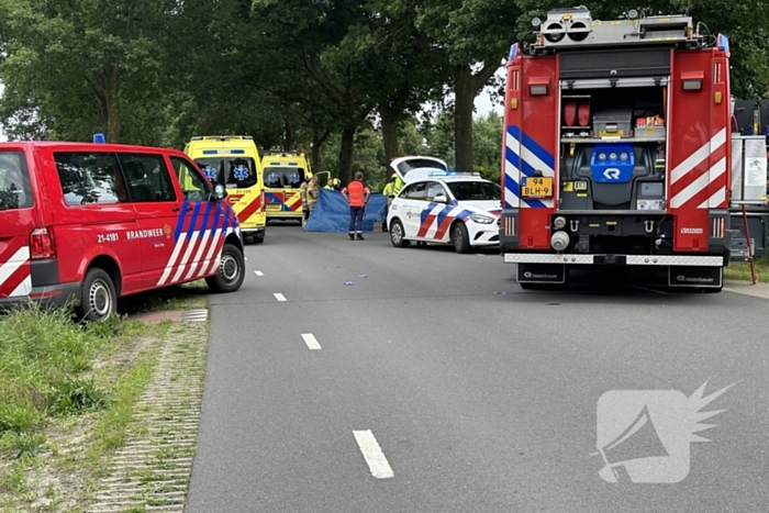 Bestuurder op slag dood na crash tegen boom