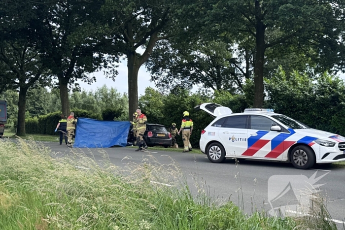 Bestuurder op slag dood na crash tegen boom