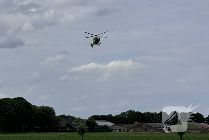 Bestuurder op slag dood na crash tegen boom