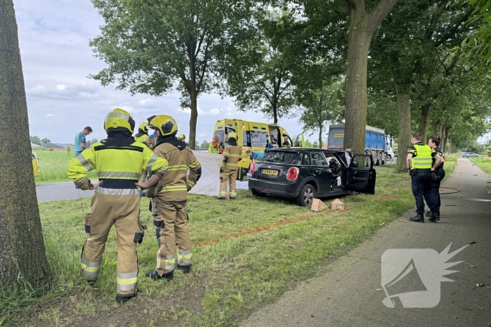 Bestuurder op slag dood na crash tegen boom